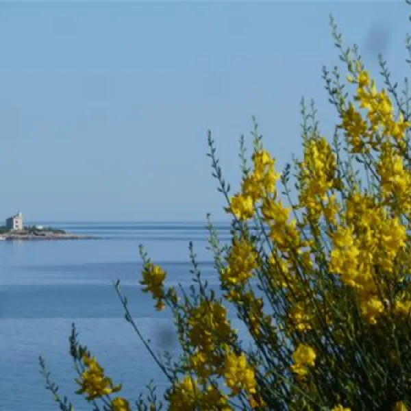 nevio-camping-orebi-prjqv
