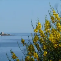 nevio-camping-orebi-prjqv