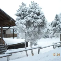 campingplatz-winterberg-winterberg-nhd3u