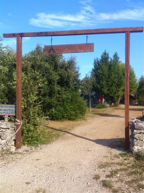 camping-arboretum-paman-8ppov