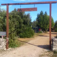 camping-arboretum-paman-8ppov