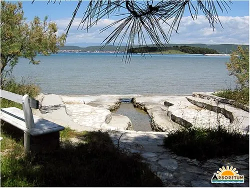 camping-arboretum-paman-faodq