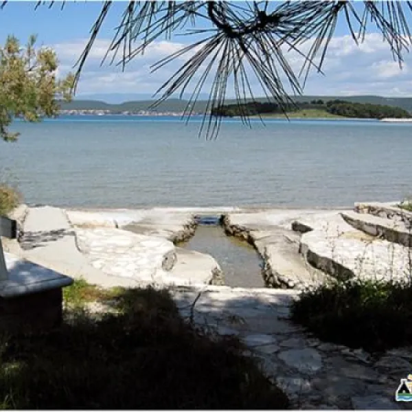 camping-arboretum-paman-faodq