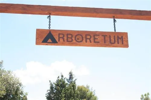 camping-arboretum-paman-l0yu0