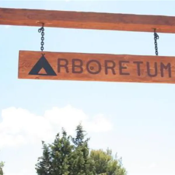 camping-arboretum-paman-l0yu0
