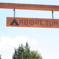 camping-arboretum-paman-l0yu0
