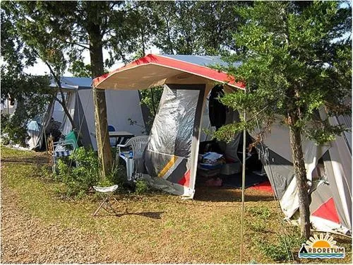 camping-arboretum-paman-q559u