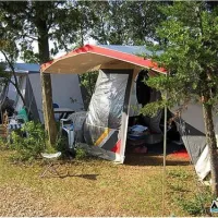 camping-arboretum-paman-q559u