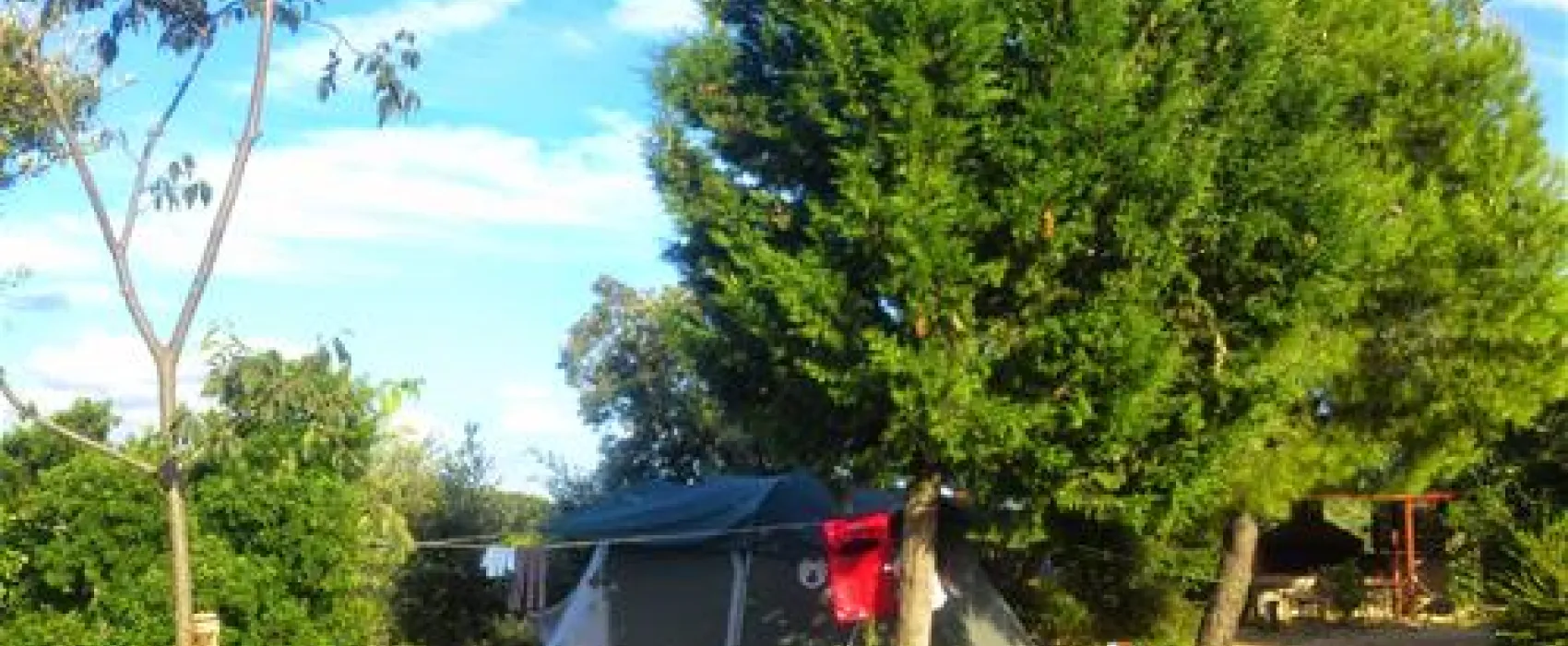 Camping Arboretum