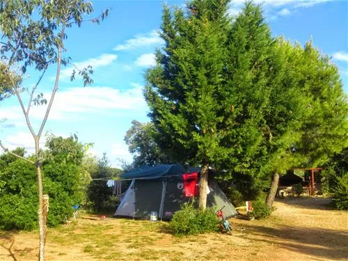 camping-arboretum-paman-ur2pa