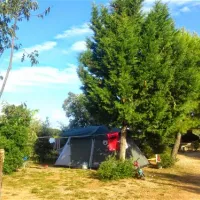 Camping Arboretum