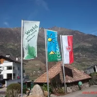 waldcamping-naturns-naturns-aehrr