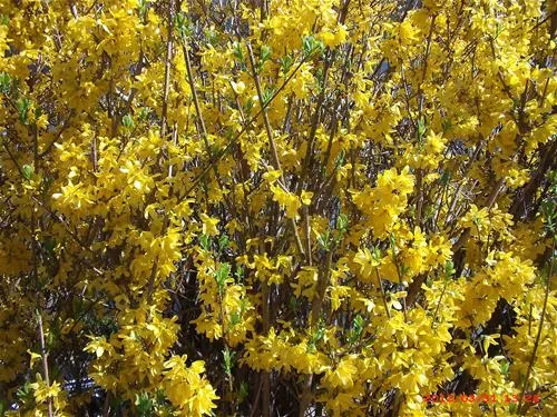 waldcamping-naturns-naturns-xecoq