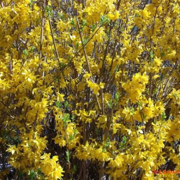 waldcamping-naturns-naturns-xecoq