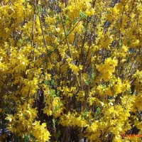 waldcamping-naturns-naturns-xecoq