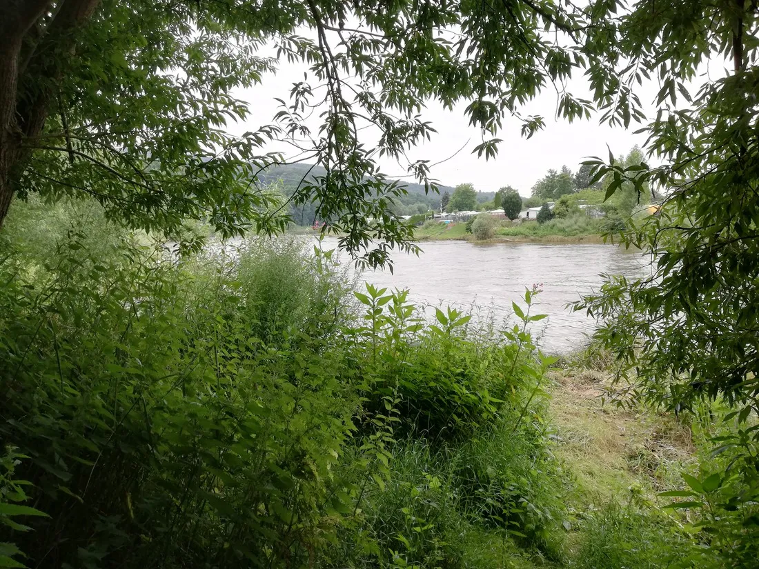 naturcamp-an-der-weser-vlotho-i319l