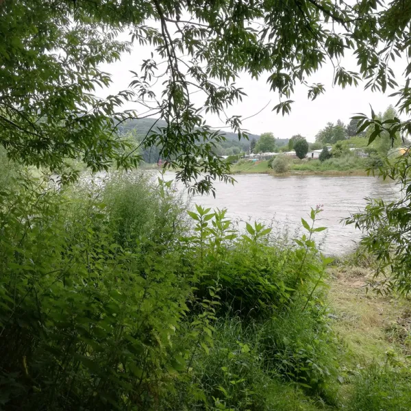 naturcamp-an-der-weser-vlotho-i319l