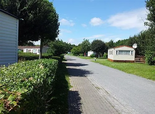 flower-camping-les-marguerites-le-crotoy-3amtk