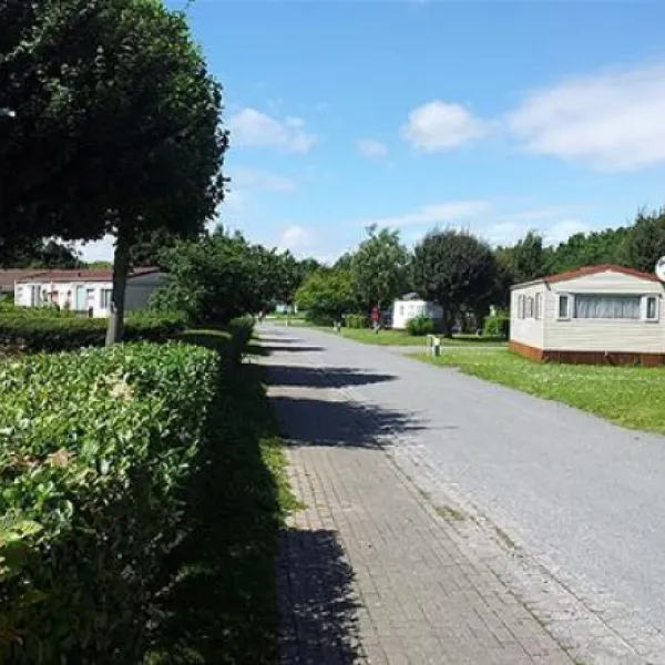 flower-camping-les-marguerites-le-crotoy-3amtk