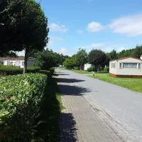 flower-camping-les-marguerites-le-crotoy-3amtk