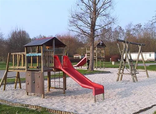flower-camping-les-marguerites-le-crotoy-jfp58