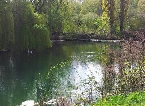flower-camping-les-marguerites-le-crotoy-nphvt