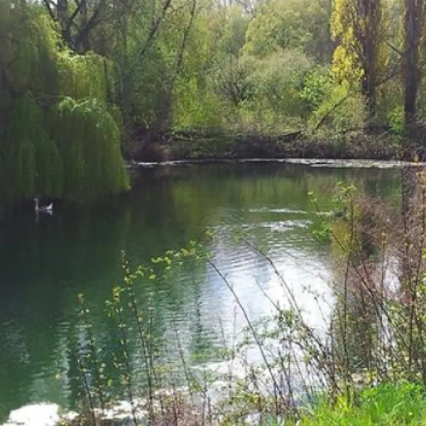 flower-camping-les-marguerites-le-crotoy-nphvt