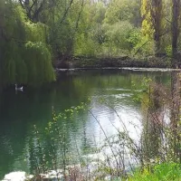 flower-camping-les-marguerites-le-crotoy-nphvt