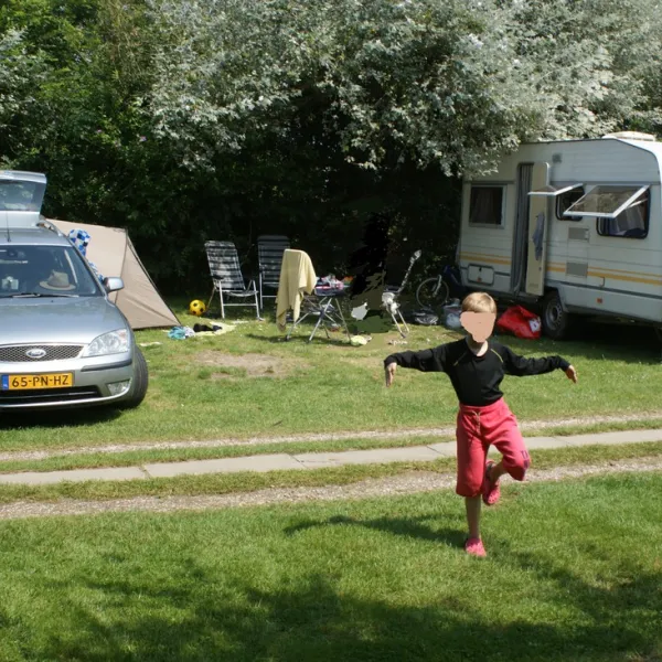 flower-camping-les-marguerites-le-crotoy-xux45