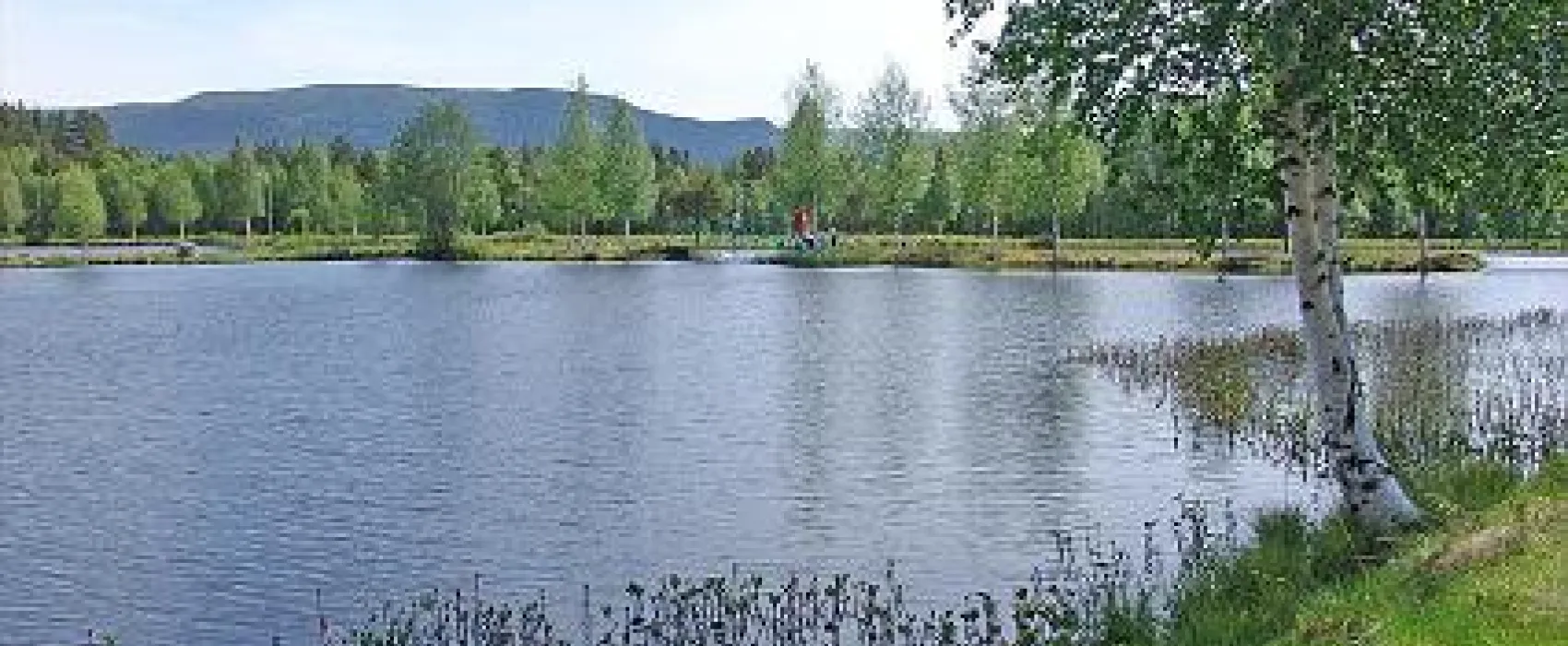 Vemdals Camping