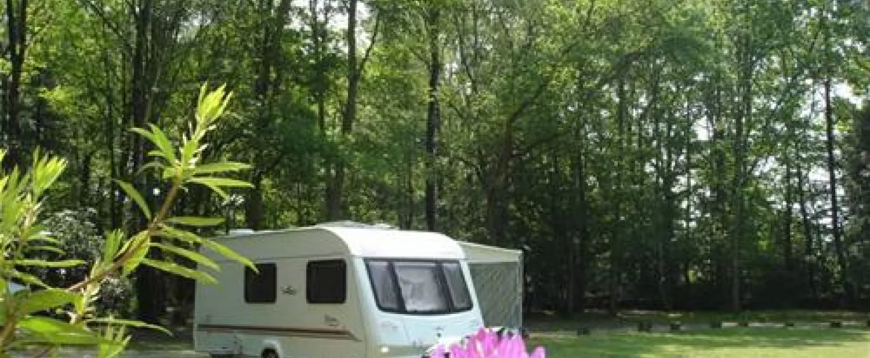 Alpine Grove Touring Park