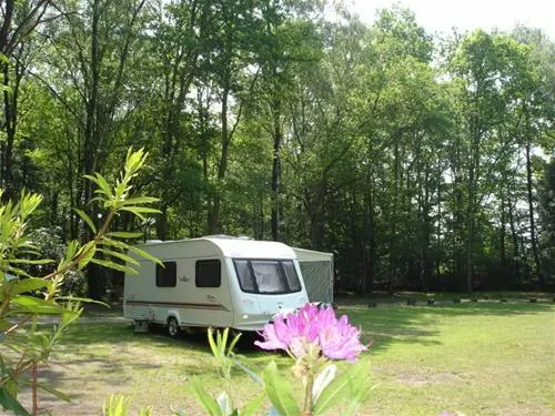 alpine-grove-touring-park-chard-awsid