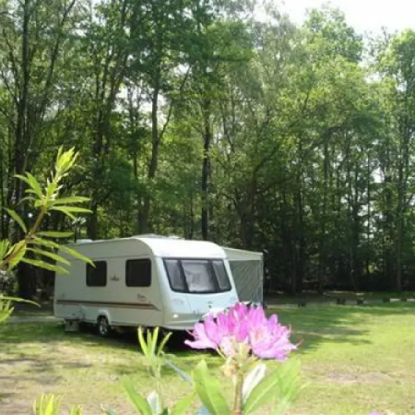 alpine-grove-touring-park-chard-awsid