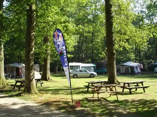 alpine-grove-touring-park-chard-fjwnh