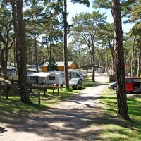 campingplatz-ostseeblick-trassenheide-3u03e