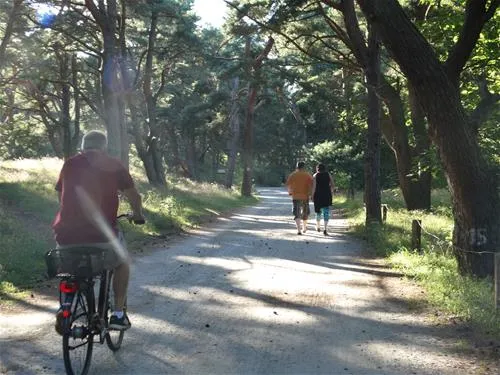 campingplatz-ostseeblick-trassenheide-ygoie