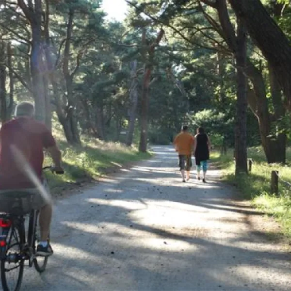 campingplatz-ostseeblick-trassenheide-ygoie