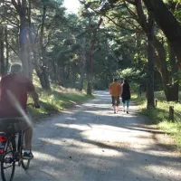 campingplatz-ostseeblick-trassenheide-ygoie