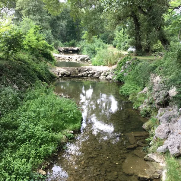 l-eau-vive-dauphin-m400x