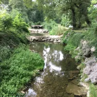 l-eau-vive-dauphin-m400x
