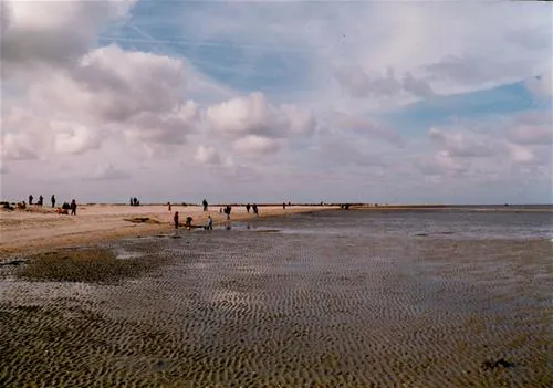 campingplatz-schillig-nordseeheilbad-horumersielschillig-6qfso