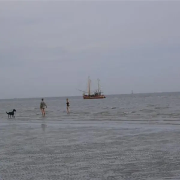 campingplatz-schillig-nordseeheilbad-horumersielschillig-dbrer