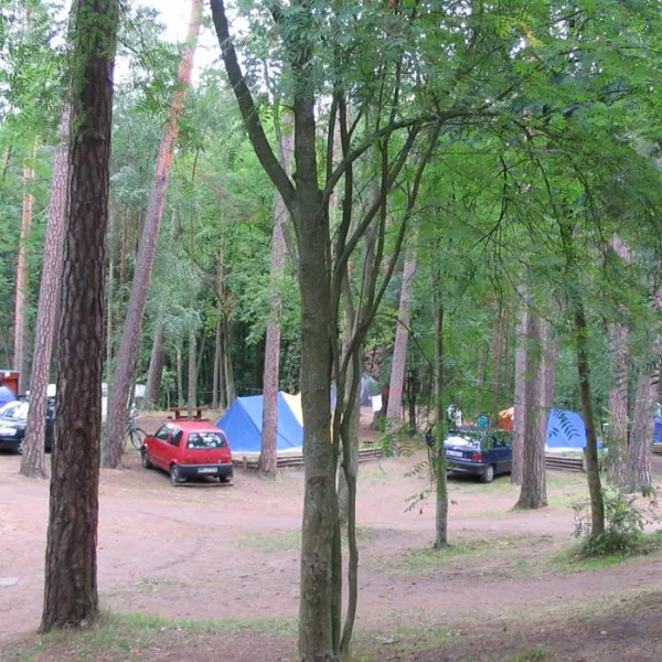 Camping 159