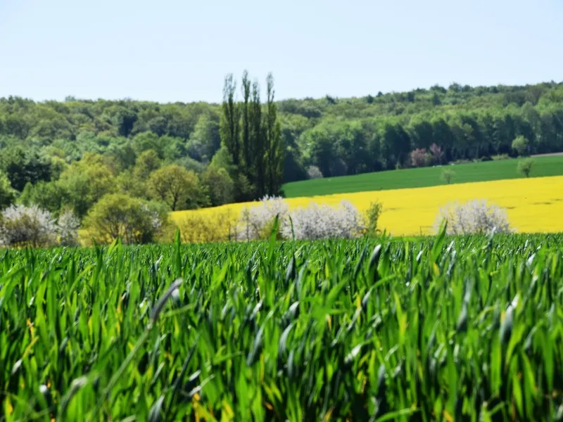 camping-am-waldbad-hameln-ot-halvestorf-febpu