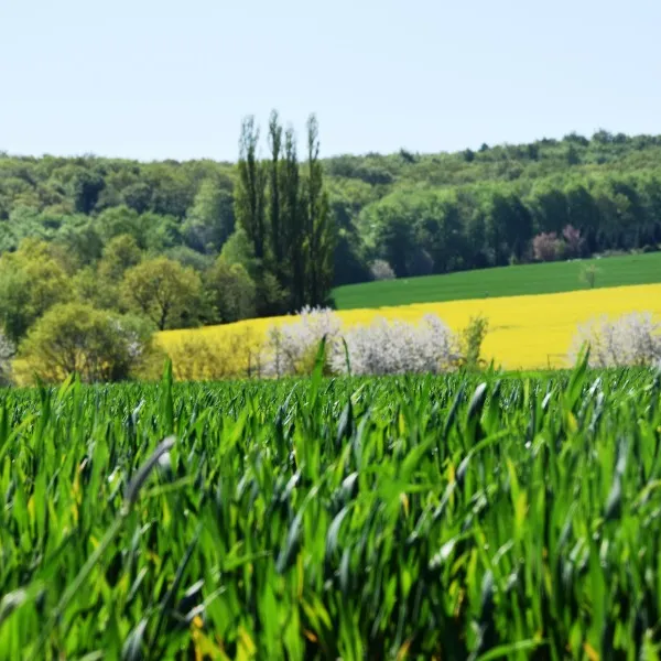 camping-am-waldbad-hameln-ot-halvestorf-febpu
