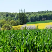 camping-am-waldbad-hameln-ot-halvestorf-febpu