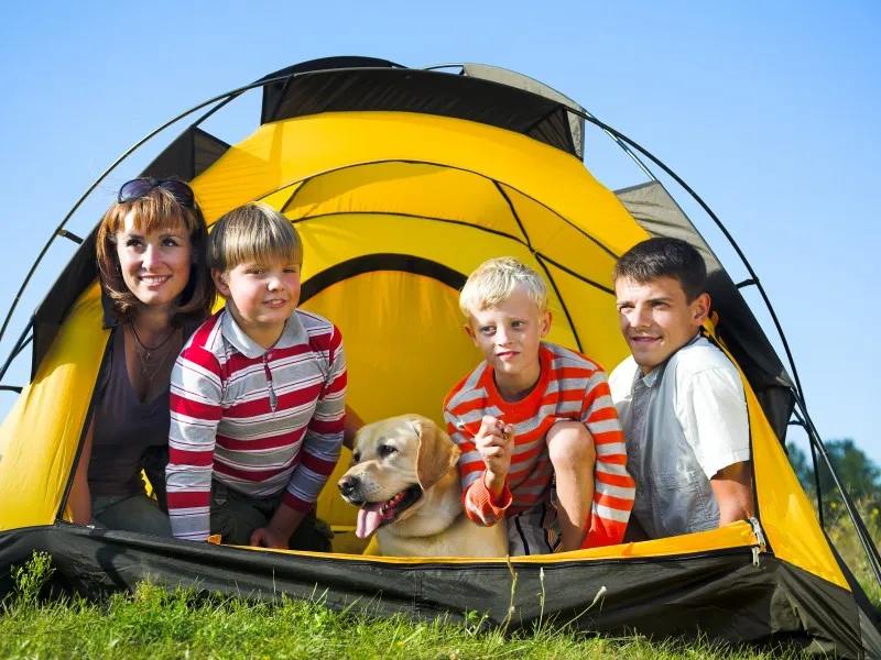 camping-am-waldbad-hameln-ot-halvestorf-p1mzj