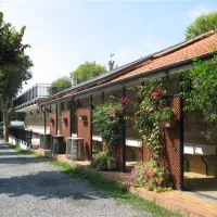 campeggio-baciccia-ceriale-fl0aq