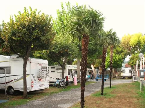 campeggio-baciccia-ceriale-imzld
