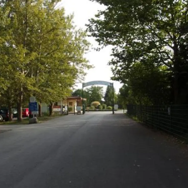 camping-pirna-pirna-ribjv